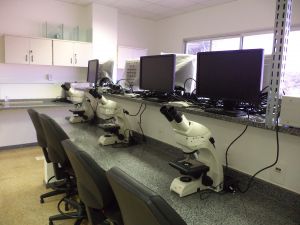 Institucional - Laboratórios de Ensino de Biologia