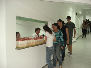 Memoria 2010